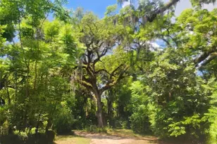 1985 NE 97th Streed Rd, Anthony, FL 32617 - Photo 37