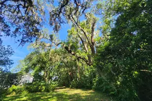 1985 NE 97th Streed Rd, Anthony, FL 32617 - Photo 45