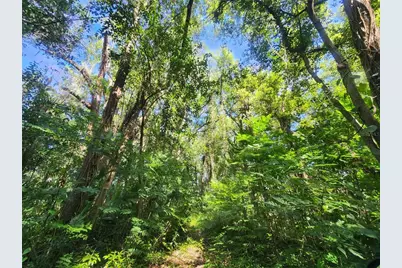 1985 NE 97th Streed Road, Anthony, FL 32617 - Photo 49