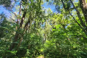 1985 NE 97th Streed Rd, Anthony, FL 32617 - Photo 49