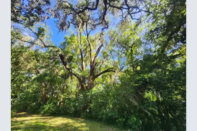 1985 NE 97th Streed Road, Anthony, FL 32617 - Photo 41