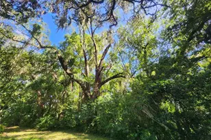 1985 NE 97th Streed Rd, Anthony, FL 32617 - Photo 41