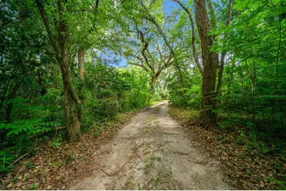 1985 NE 97th Streed Road, Anthony, FL 32617 - Photo 3