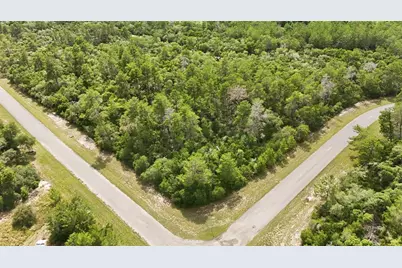 Parcel #8005-0854-46 (2.89 Acres), Ocala, FL 34473 - Photo 3