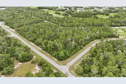 Parcel #8005-0854-46 (2.89 Acres), Ocala, FL 34473 - Photo 13