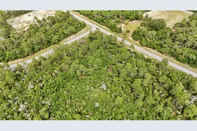 Parcel #8005-0854-46 (2.89 Acres), Ocala, FL 34473 - Photo 11