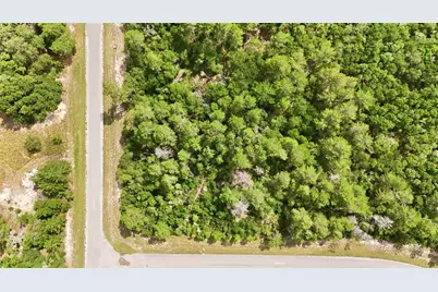 Parcel #8005-0854-46 (2.89 Acres), Ocala, FL 34473 - Photo 9