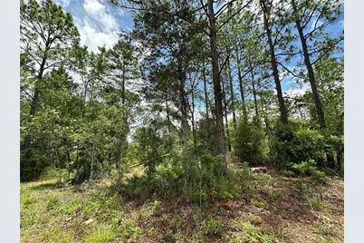 Tbd NE 69th Place, Bronson, FL 32621 - Photo 11