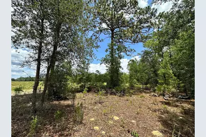 Tbd NE 69th Place, Bronson, FL 32621 - Photo 1