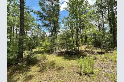 Tbd NE 69th Place, Bronson, FL 32621 - Photo 3