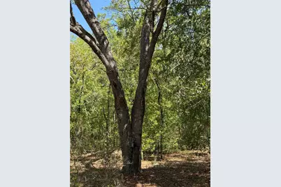 Tbd NE 107th Court, Bronson, FL 32621 - Photo 3