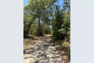 Tbd NE 107th Court, Bronson, FL 32621 - Photo 1