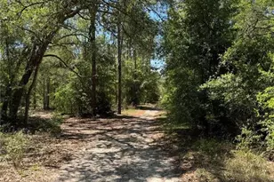 Tbd NE 107th Ct, Bronson, FL 32621 - Photo 1