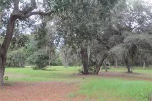 5995 SE 183rd Avenue Rd, Ocklawaha, FL 32179 - Photo 23