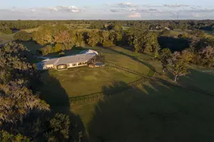 9504 NW Hwy 320, Micanopy, FL 32667 - Photo 19