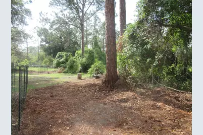 0 SE 10th Street, Silver Springs, FL 34488 - Photo 15
