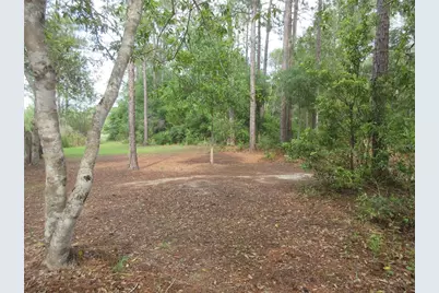 0 SE 10th Street, Silver Springs, FL 34488 - Photo 17
