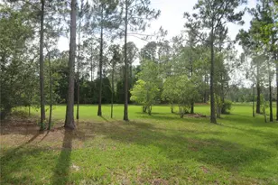 0 SE 10th St, Silver Springs, FL 34488 - Photo 1