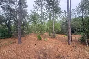 5275 SW 183rd Terrace, Dunnellon, FL 34432 - Photo 7