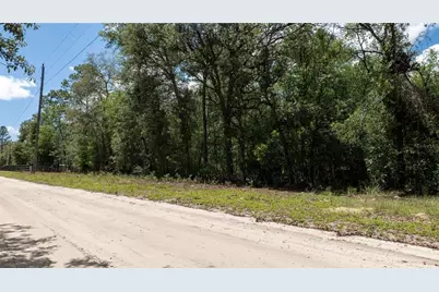 Ne 71st Street, Bronson, FL 32621 - Photo 1