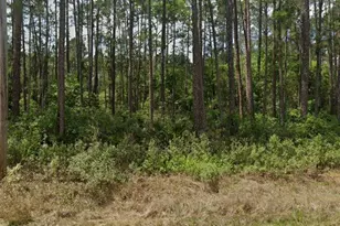 137 E Boundary Dr, Georgetown, FL 32139 - Photo 1