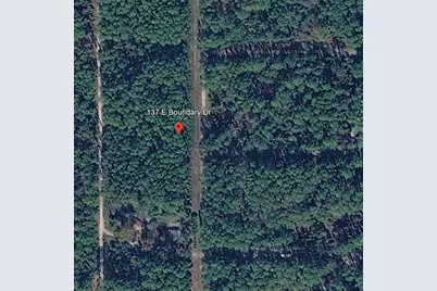 137 E Boundary Drive, Georgetown, FL 32139 - Photo 3