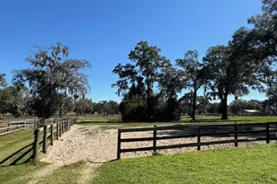 7111 SW 80th Ave, Ocala, FL 34481 - Photo 29