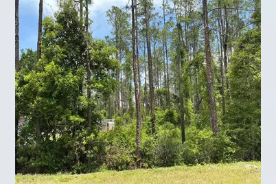 4430 Vicki Street, Hastings, FL 32145 - Photo 5