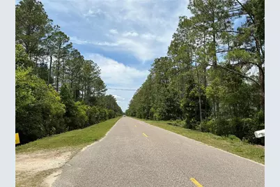 4430 Vicki Street, Hastings, FL 32145 - Photo 7