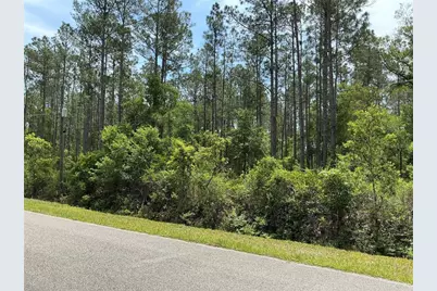 4365 Vicki Street, Hastings, FL 32145 - Photo 3