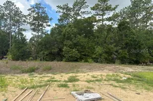 7744 SW 180th Cir, Dunnellon, FL 34432 - Photo 9