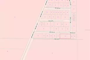 11710 NE 222nd Ln, Fort Mc Coy, FL 32134 - Photo 21