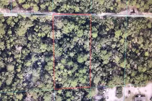 0 SW 153 Ln, Dunnellon, FL 34432 - Photo 1