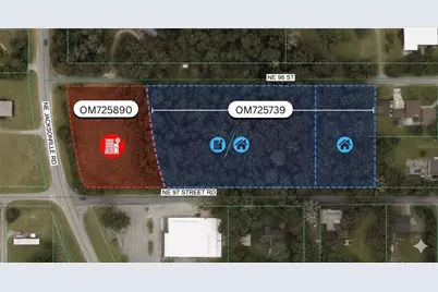 Tbd 97th Street Road, Anthony, FL 32617 - Photo 3