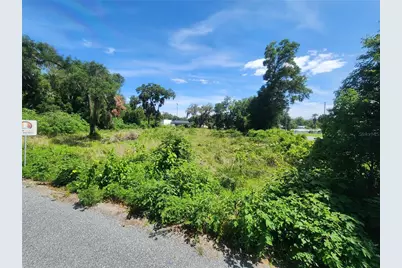 Tbd 97th Street Road, Anthony, FL 32617 - Photo 5