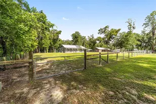 14366 NE 42nd Terrace, Anthony, FL 32617 - Photo 55