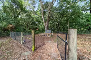 14366 NE 42nd Terrace, Anthony, FL 32617 - Photo 67