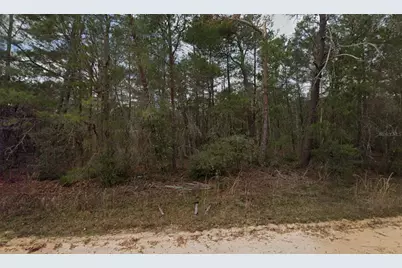Neilson Ave, Interlachen, FL 32148 - Photo 5