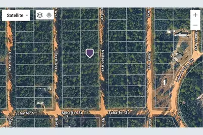 Neilson Ave, Interlachen, FL 32148 - Photo 11