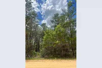 Neilson Ave, Interlachen, FL 32148 - Photo 1