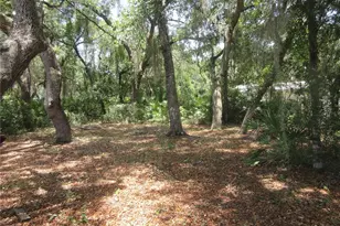 2562 SE 178th Ave, Silver Springs, FL 34488 - Photo 21