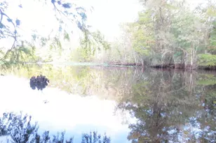 2562 SE 178th Ave, Silver Springs, FL 34488 - Photo 71