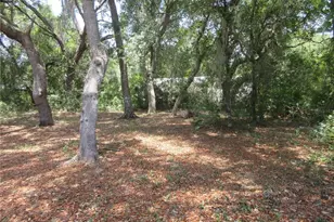 2562 SE 178th Ave, Silver Springs, FL 34488 - Photo 19