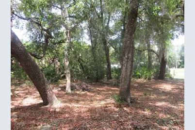 2562 SE 178th Avenue, Silver Springs, FL 34488 - Photo 23