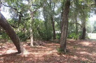 2562 SE 178th Ave, Silver Springs, FL 34488 - Photo 23