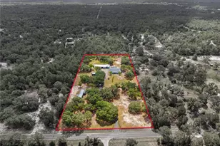 6175 S Canna Lily Ave, Homosassa, FL 34446 - Photo 39