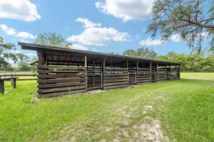 10871 SE County Rd 326, Morriston, FL 32668 - Photo 61