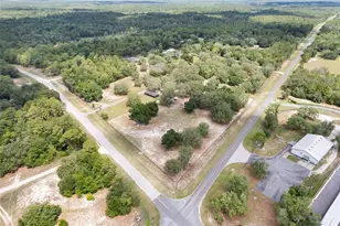10871 SE County Rd 326, Morriston, FL 32668 - Photo 13