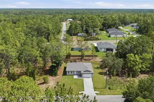 1985 W Corrine St, Dunnellon, FL 34434 - Photo 51