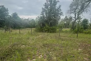 18890 SW 44th St, Dunnellon, FL 34432 - Photo 19